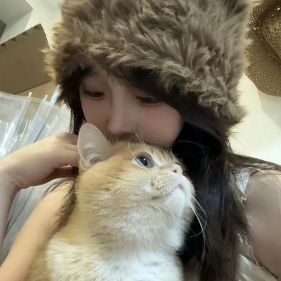 但愿人长久